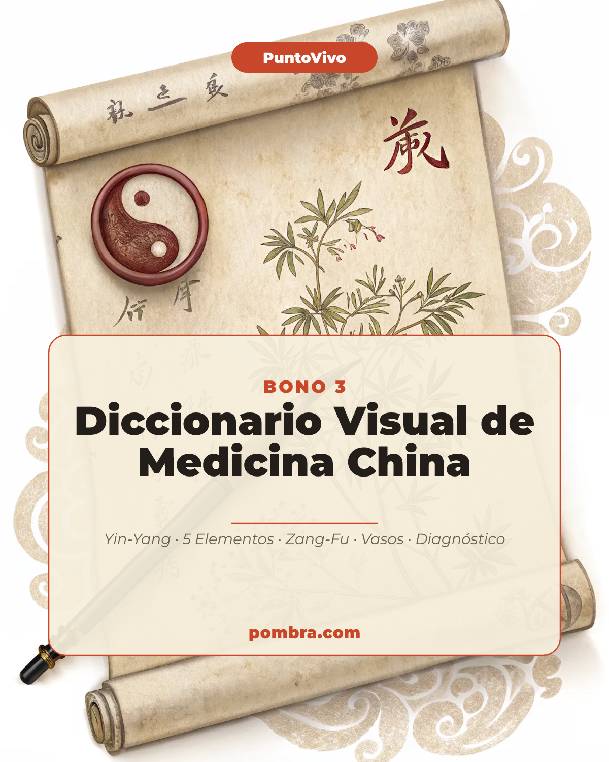 Mini-portada del bonus: Diccionario Visual de Medicina China: Qi, Yin-Yang, 5 Elementos y Zang-Fu