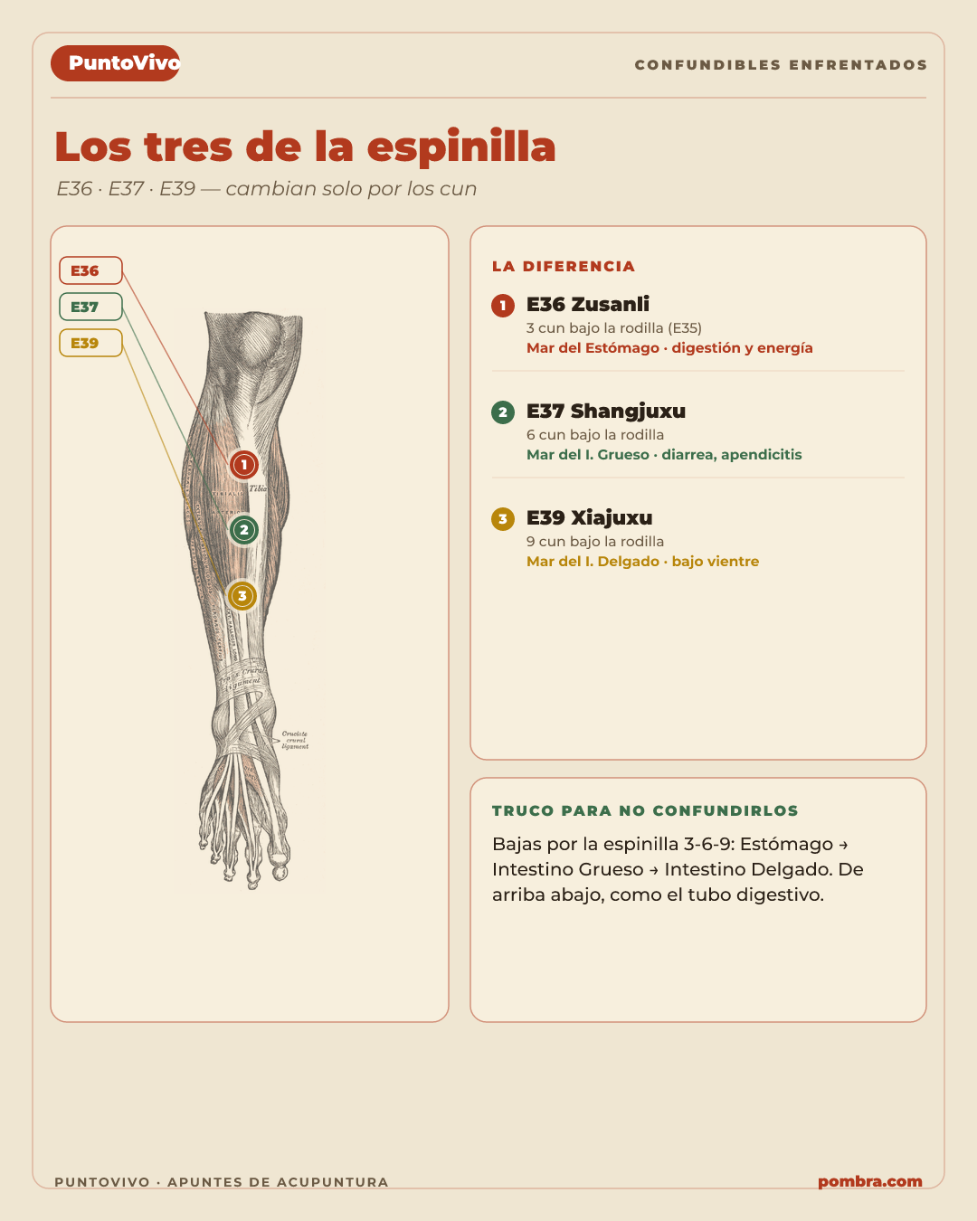 Página de confundibles enfrentados: dos puntos vecinos lado a lado con la diferencia resaltada.