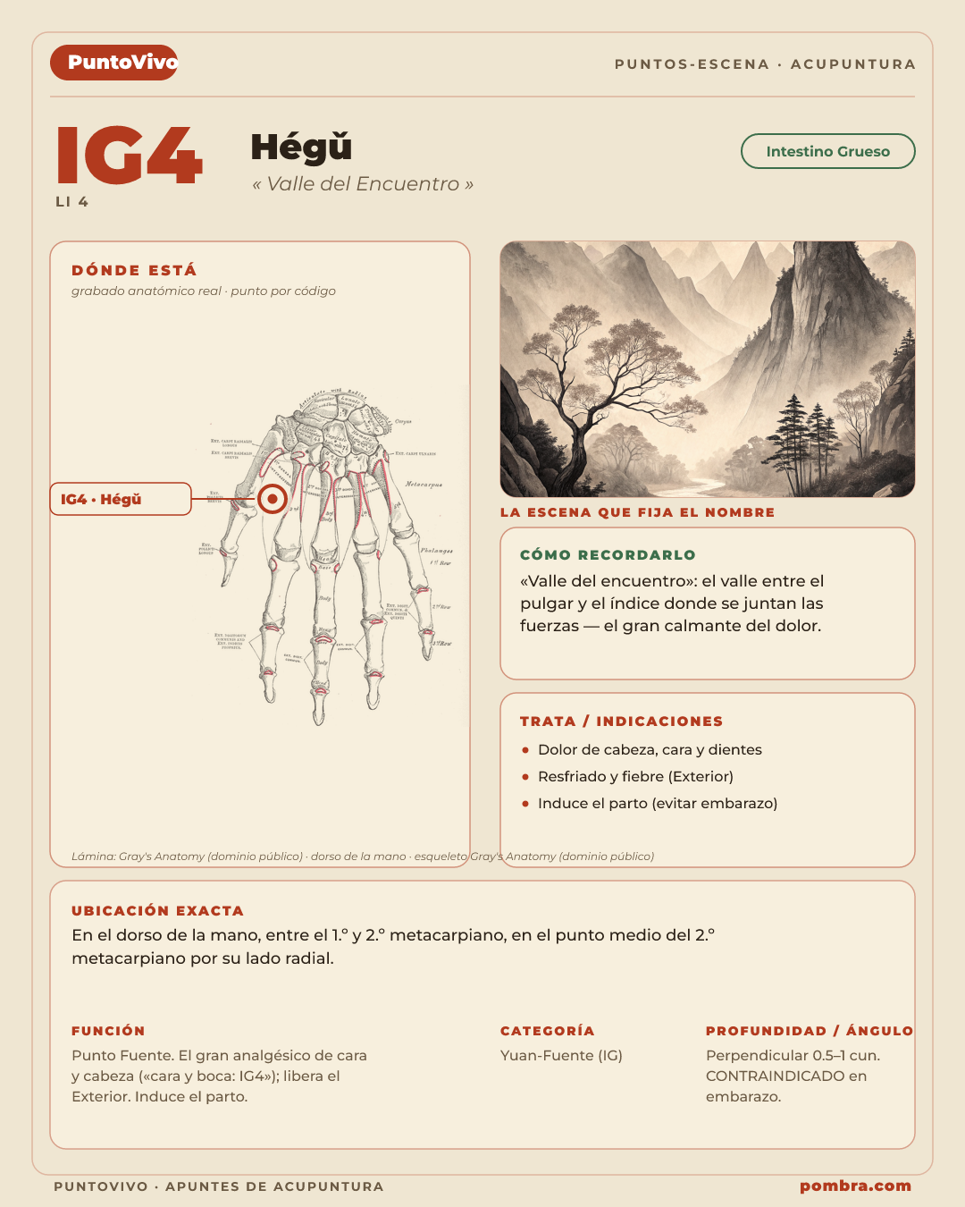 Mockup principal (héroe visual): apuntes abiertos en un Punto-Escena (ej. IG4 Hegu, 'Valle del Encuentro') — ubicación + escena del nombre + íconos de meridiano/función. Reaparece en stack/pricing/cierre.